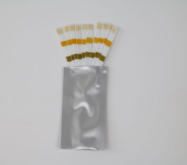 Pool&Spa test strips in bag